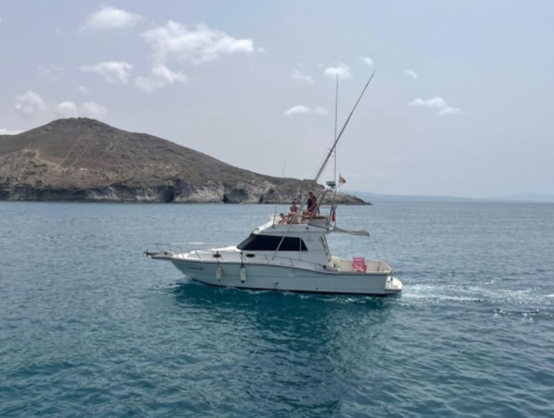 Screenshot_20230706_231448_WhatsAppBusiness